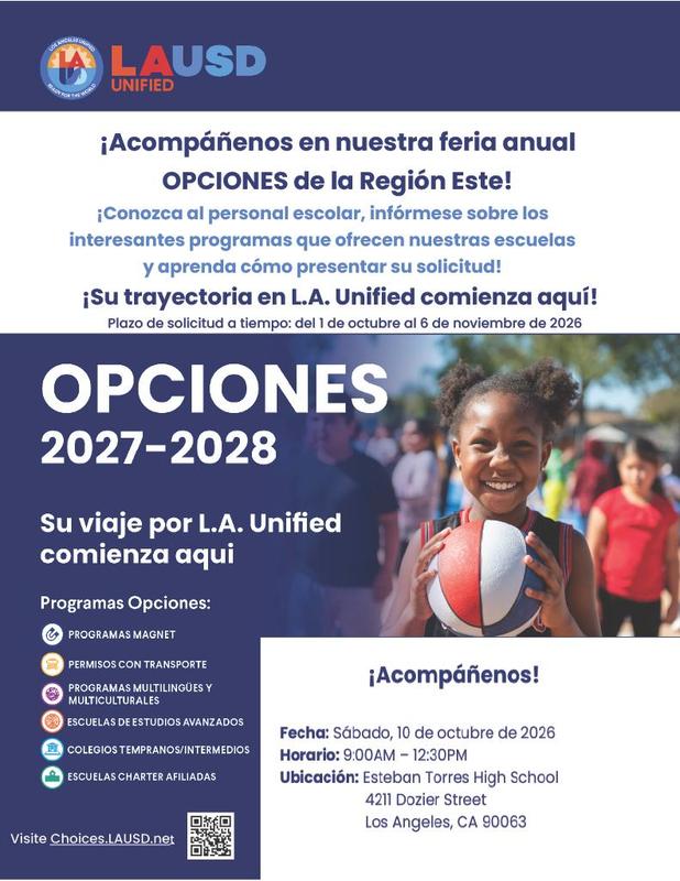 Flyer For Choices Event Spanish