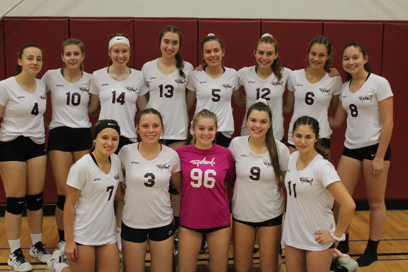 Varsity volleyball team