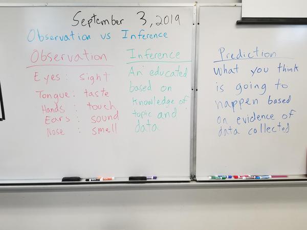 ObservationvsInferencenotes (2).jpg