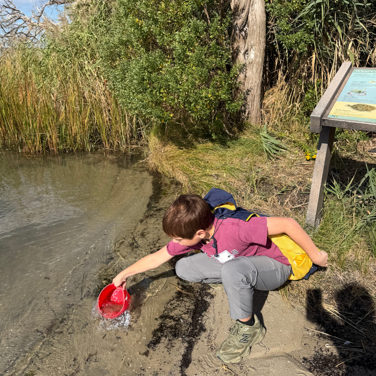 Science was a Day at the Beach