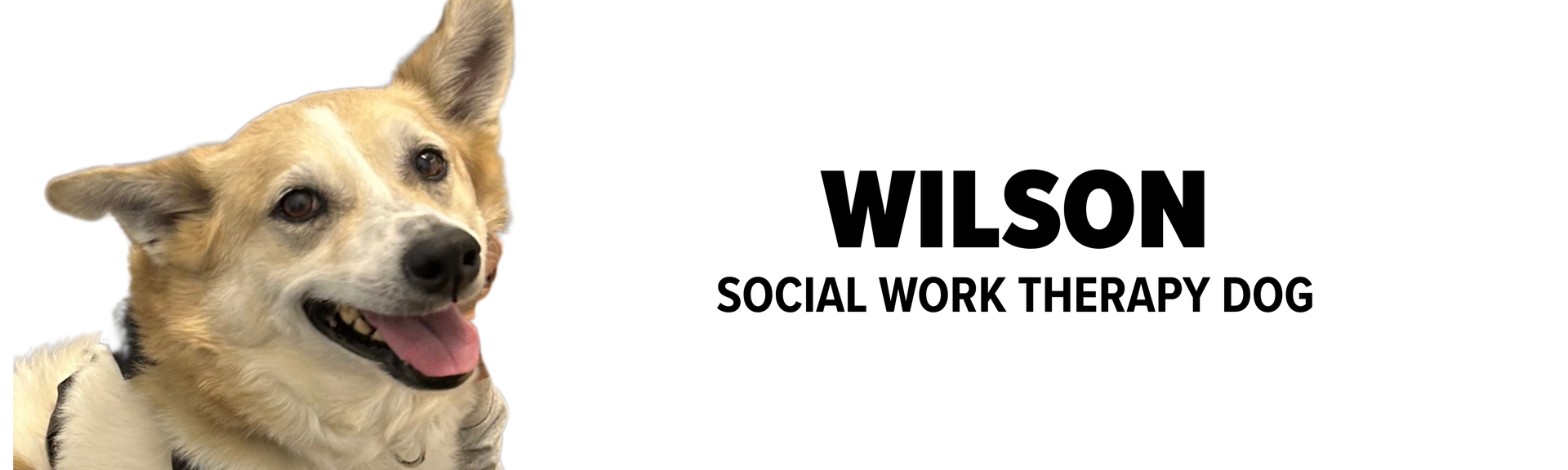 Meet Wilson