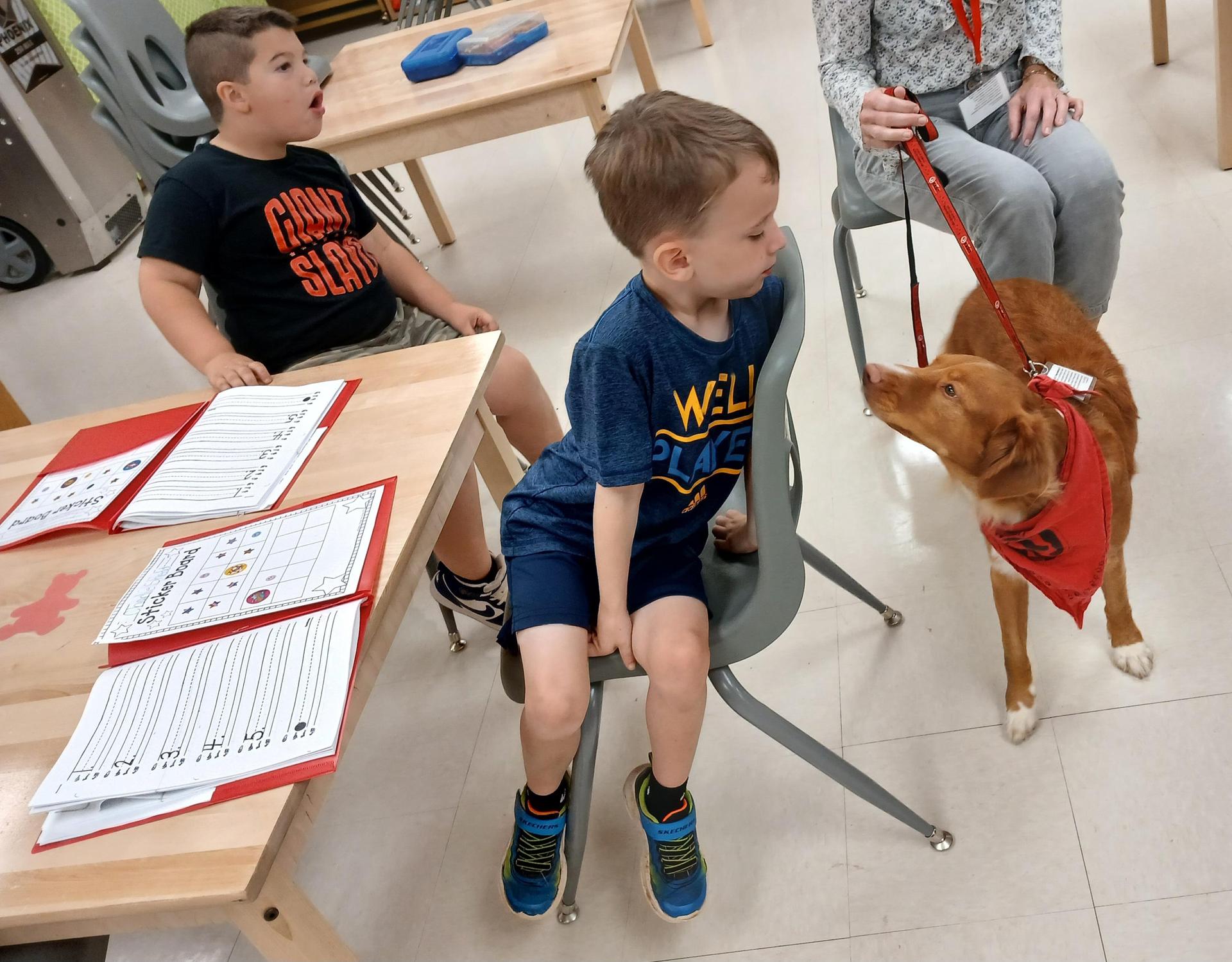 Students sitting at a table in the library with a dog 