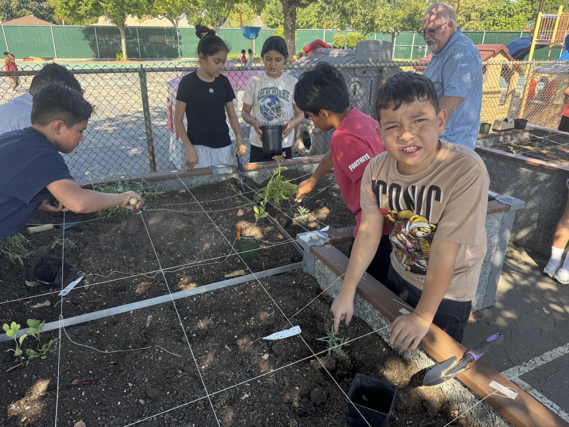 Lorne's Monarch Butterfly Sanctuary Garden