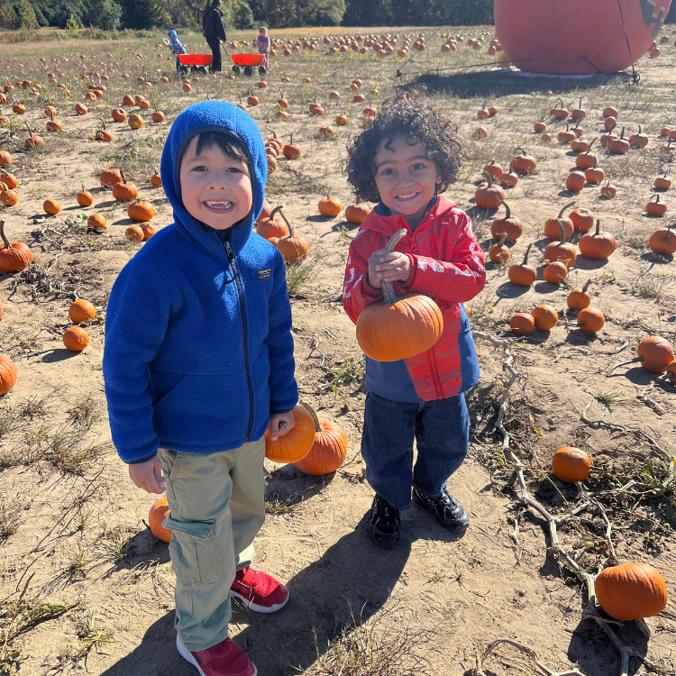 pumpkin patch fun