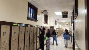Students working in the halls.