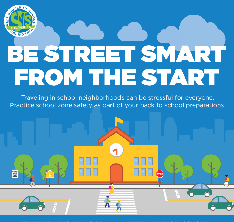 Traffic Safety / Seguridad del tráfico