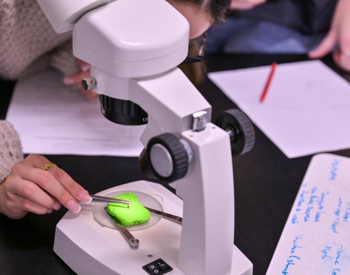 Student placing larva