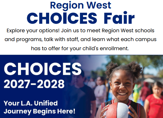 Choices Fair Flyer Image