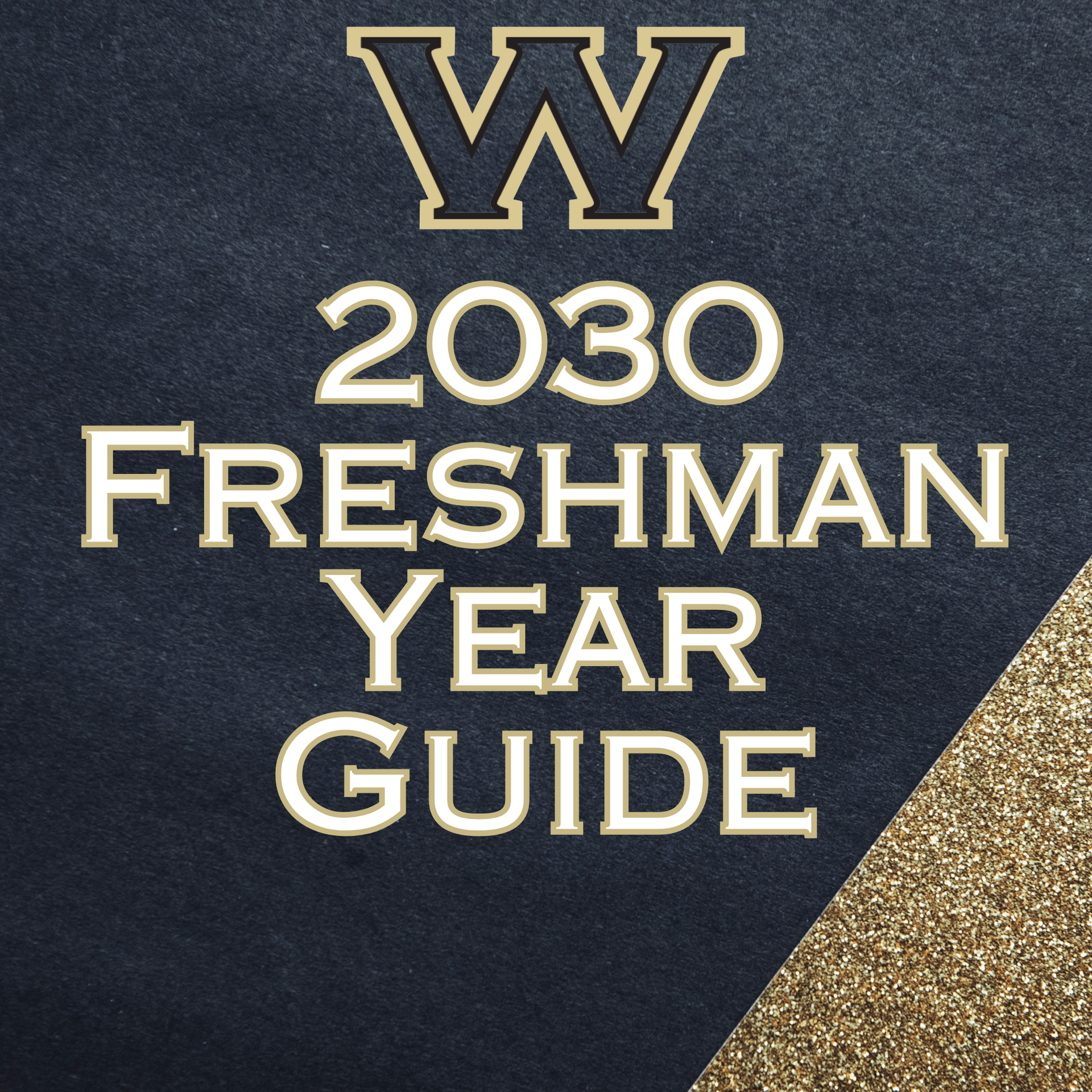 Freshman Year Guide