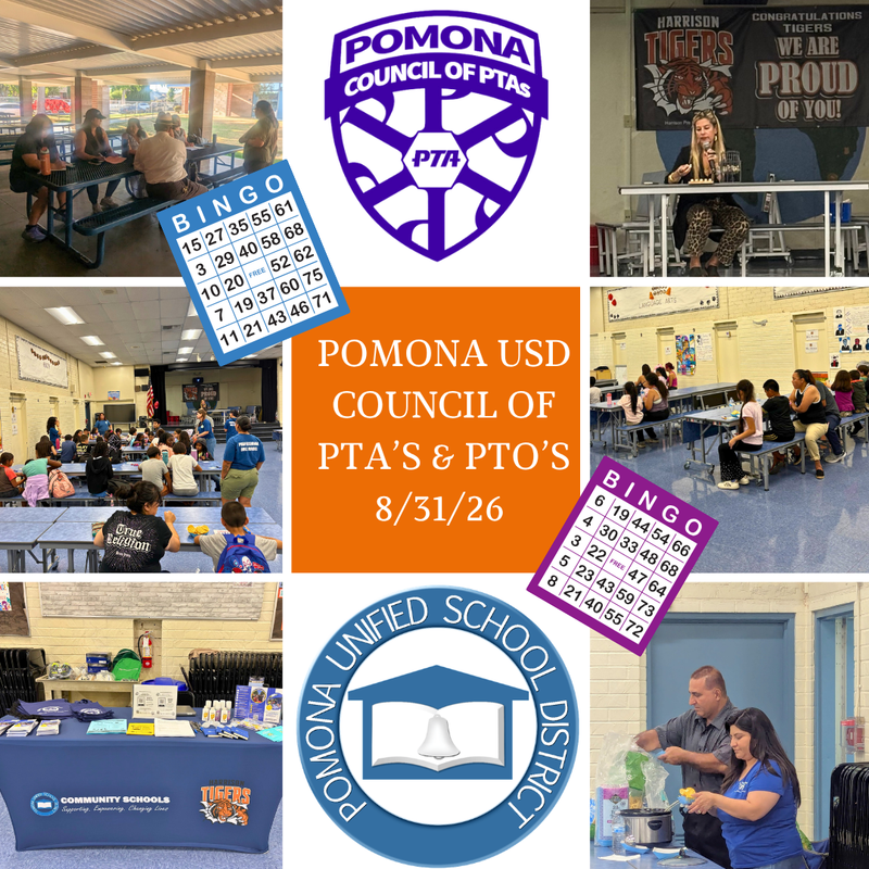 PTA Collage - for news story