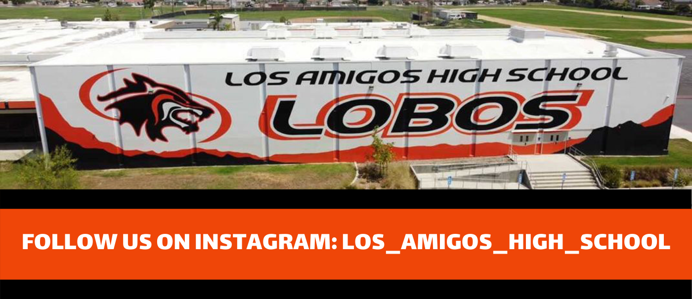 Los amigos high school