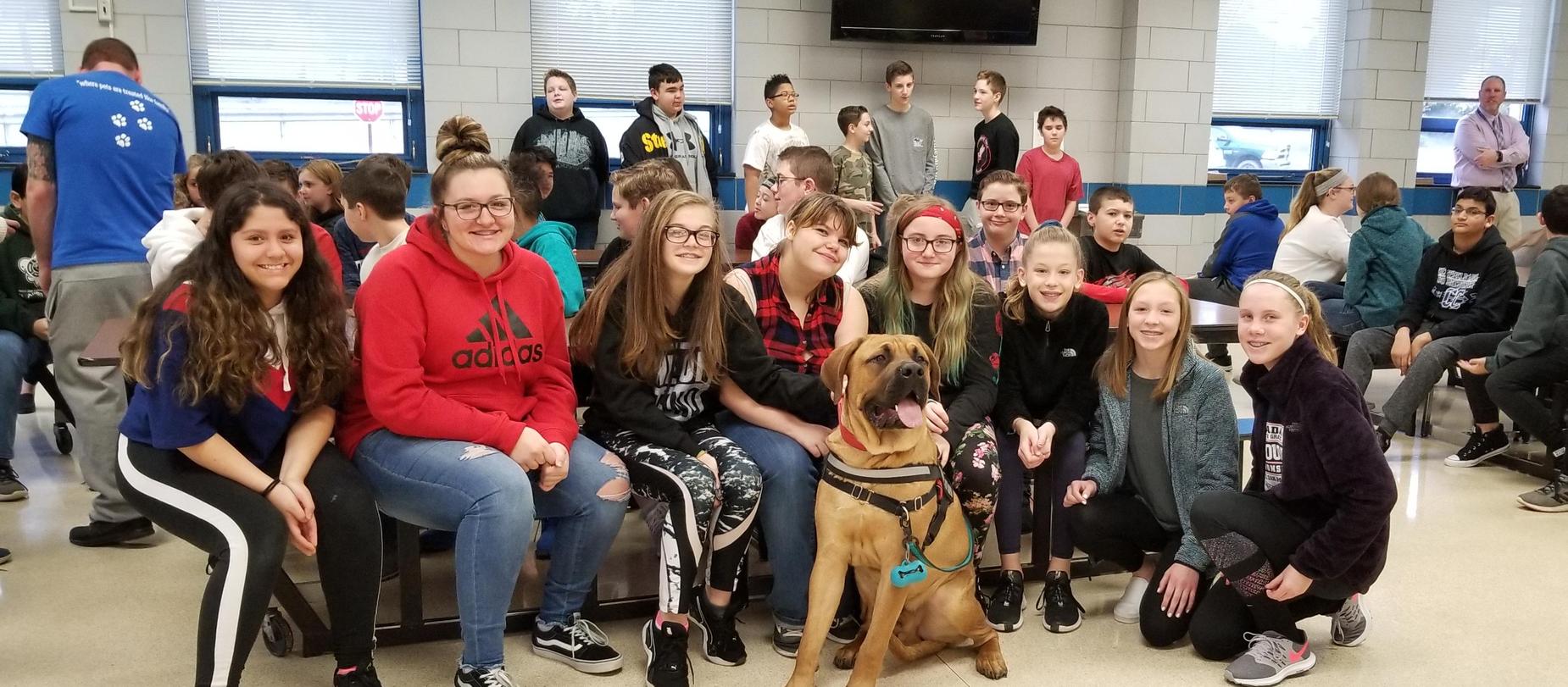 Therapy Dogs