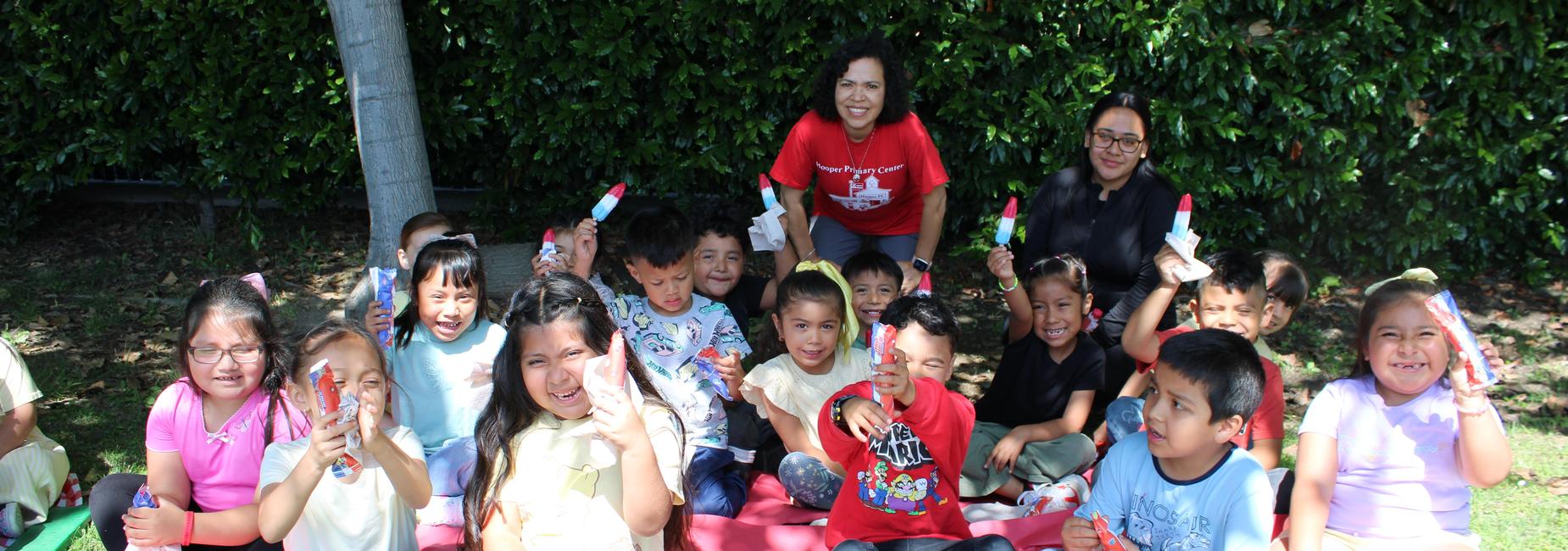 Mrs. Merchan&rsquo;s Popsicle Picnic