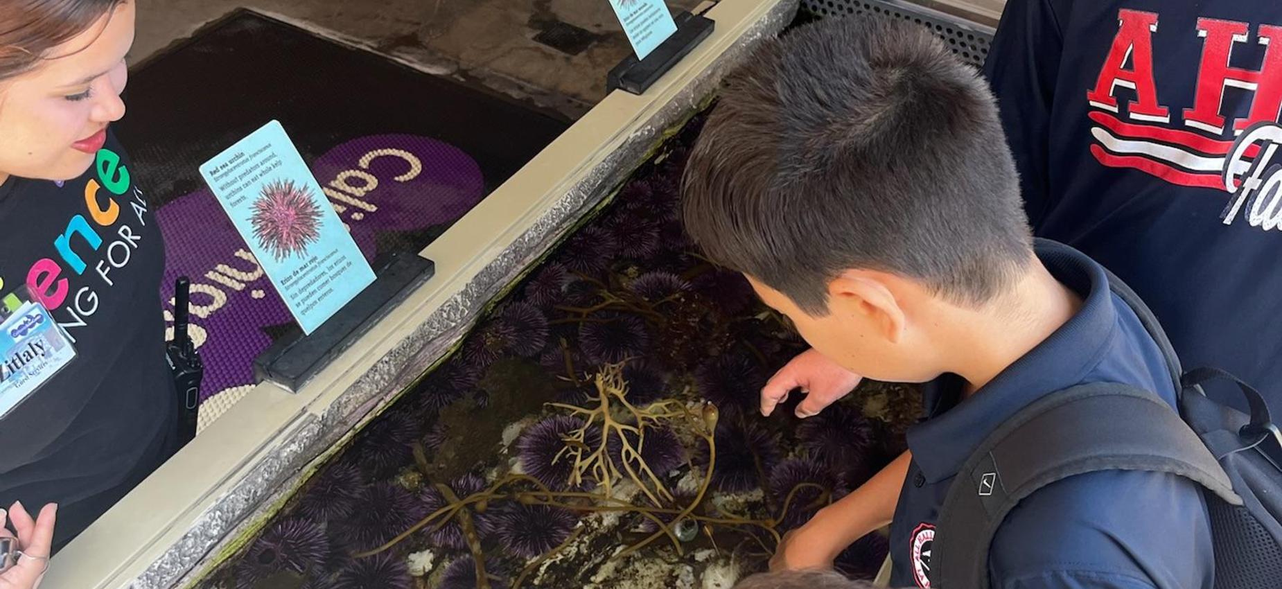 6th grade students explore California science center