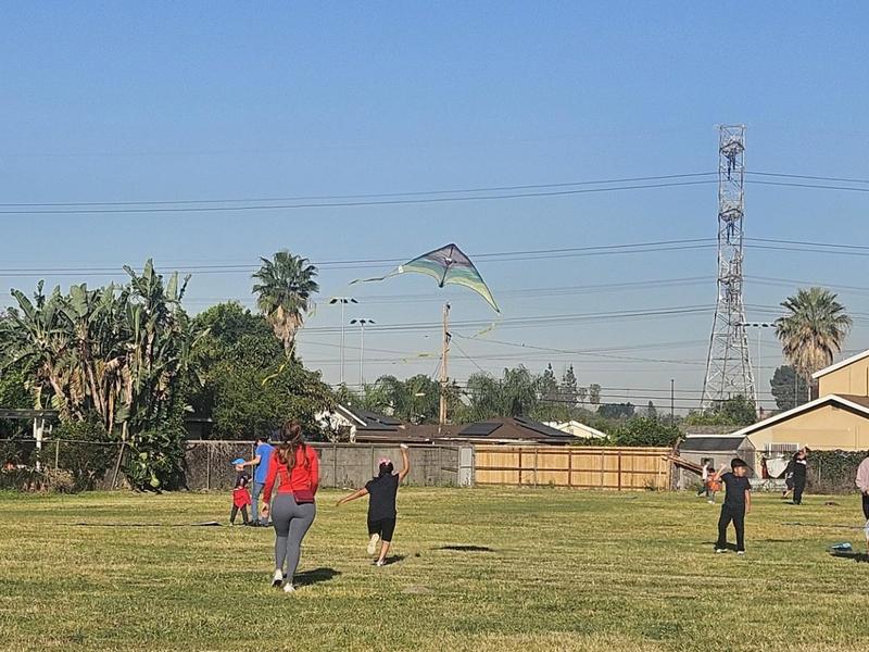 Children flying kites in a green park under a clear blue sky.