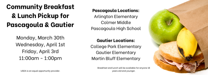 breakfast and lunch feeding times