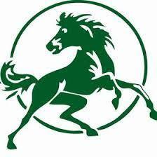bronco