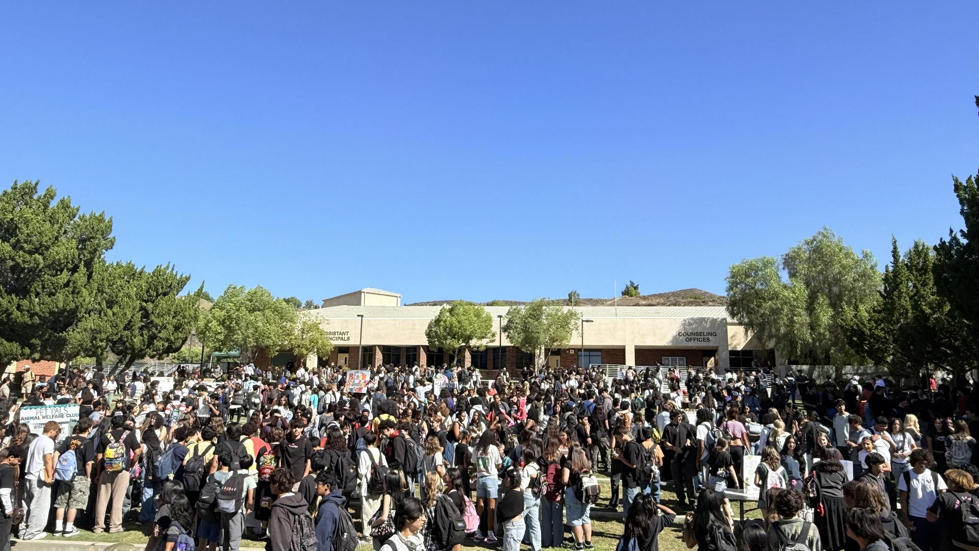 club rush