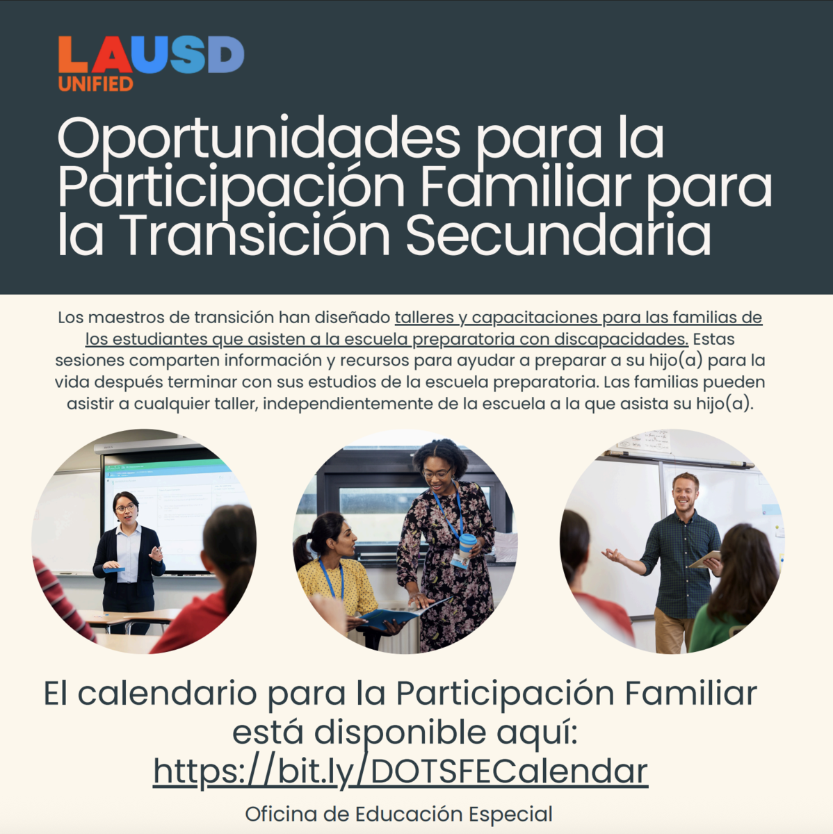 Transition Parent Training Flyer - Spanish