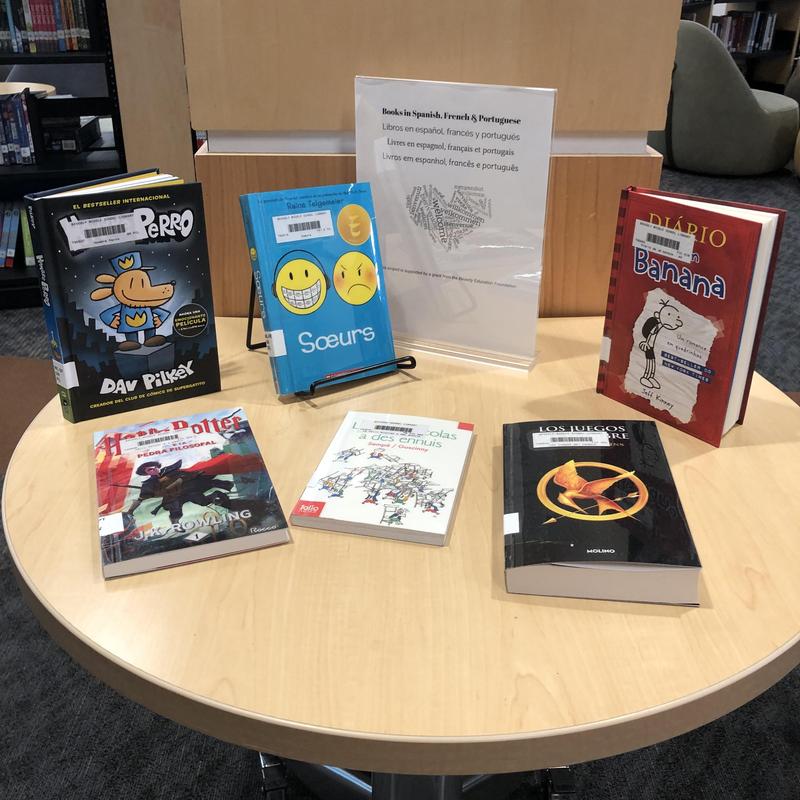 world language book display