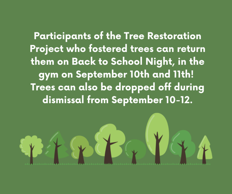 Tree Restoration Project Featured Photo