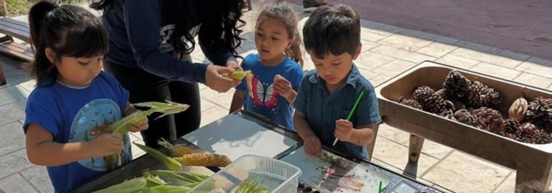 outdoor freeplay