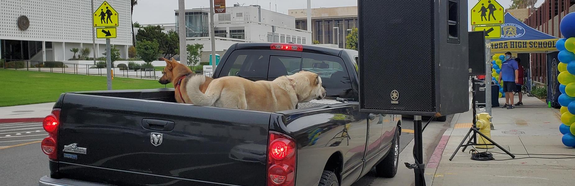 Graduation Drive Thru - June 7th, 2021 (Pets come to support!)