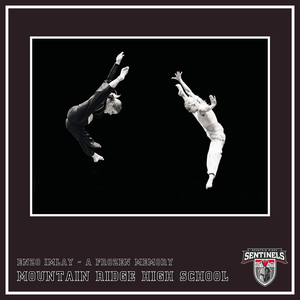 Enzo Imlay - A Frozen Memory