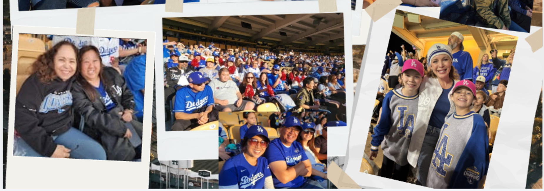 Dodger