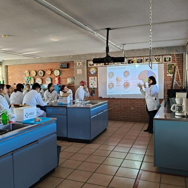 Taller "Neuroanatomía con disección de cerebro" para 2° de Prepa