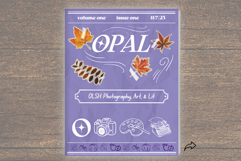 cover of OPAL magazine on woodgrain background