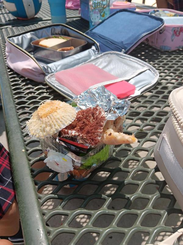 Principal's Letter Faith Reflection