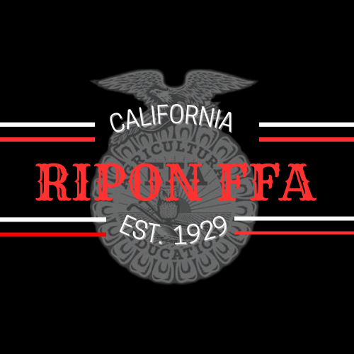 CelesteMorino's Profile Photo