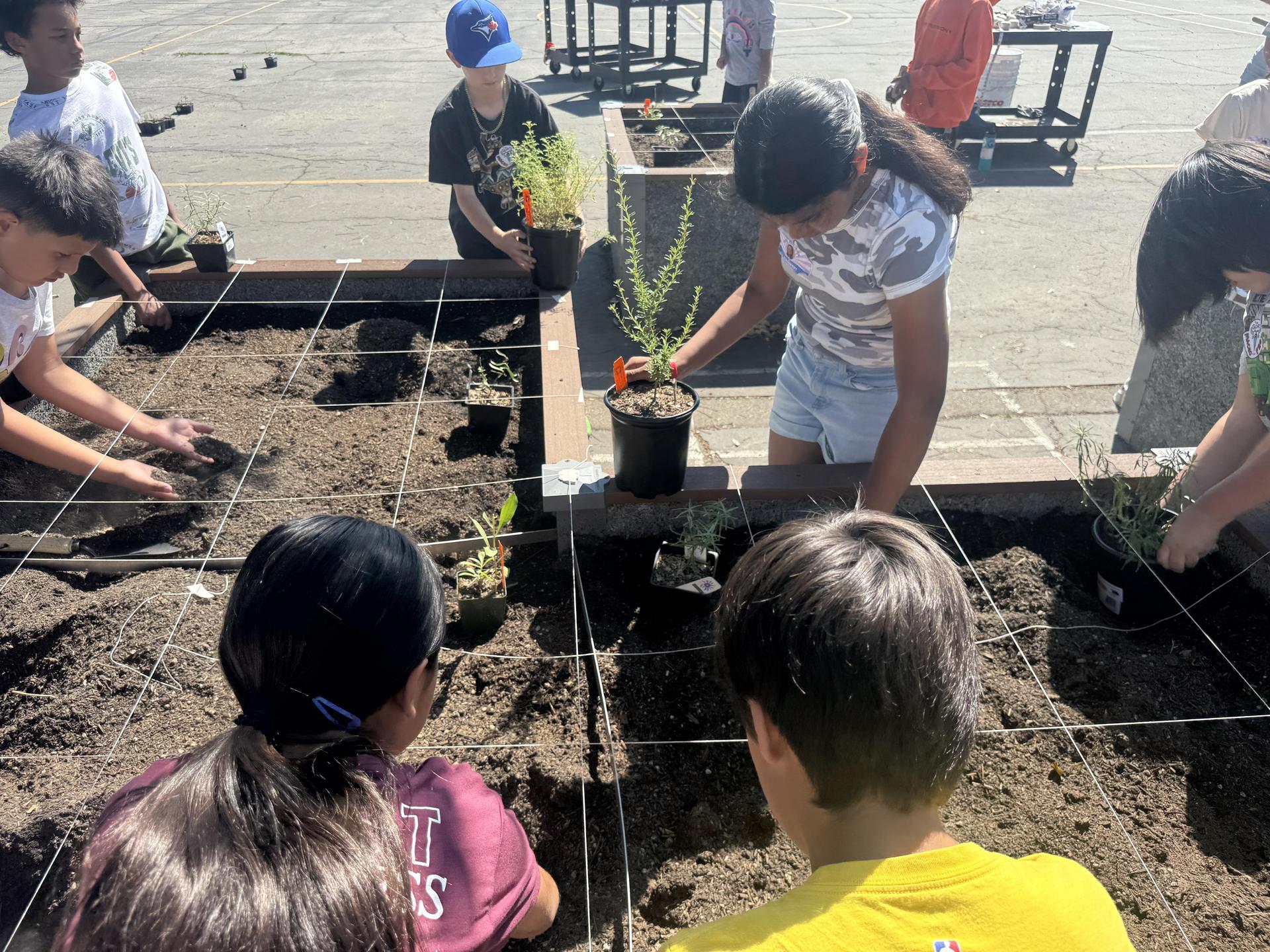 Lorne's Monarch Butterfly Sanctuary Garden