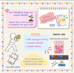 School Experience Survey