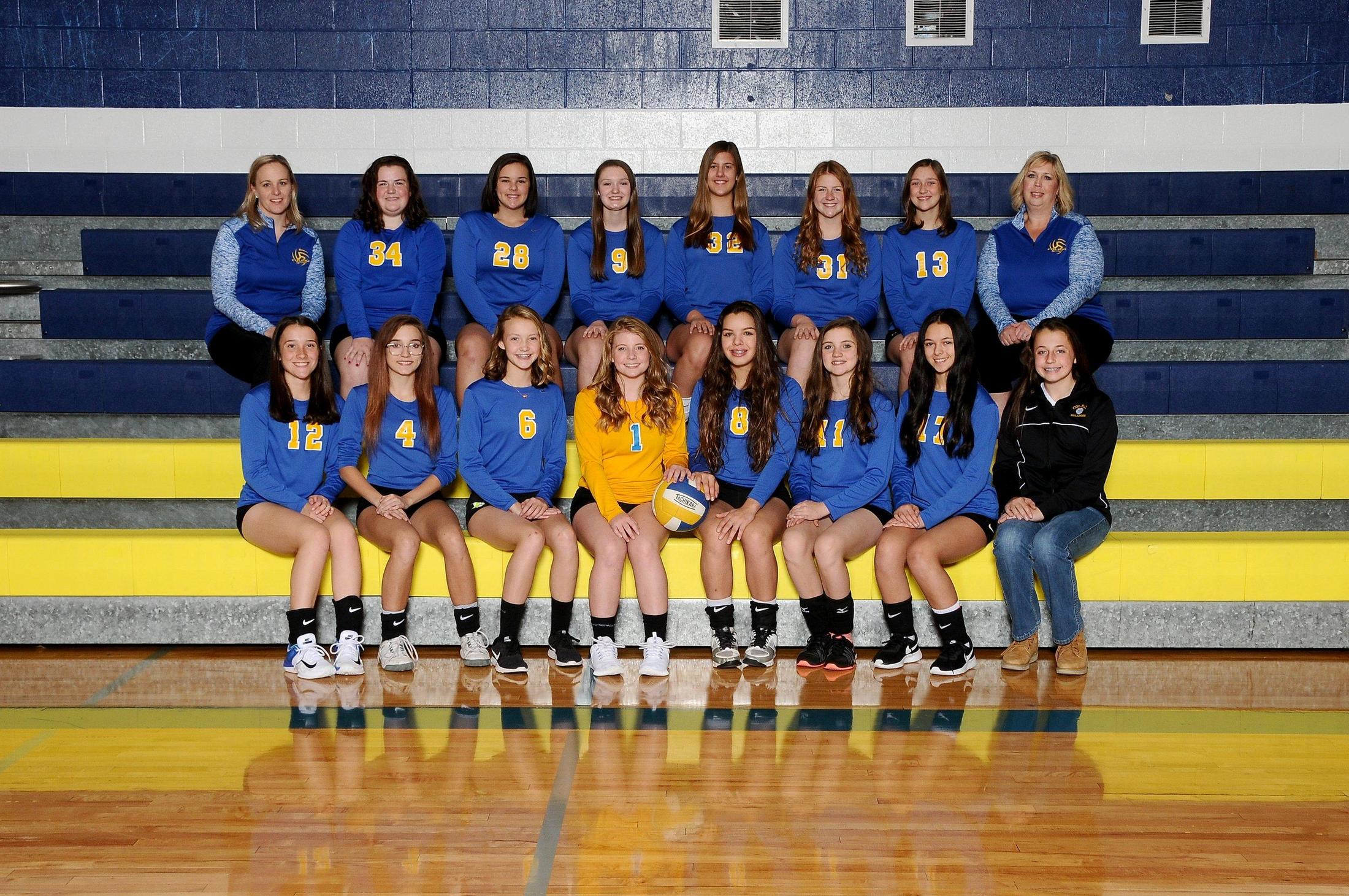 Colfax Bulldog Volleyball Volleyball Colfax School District