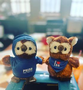 Two stuffed animal owls in PS158 sweatshirts