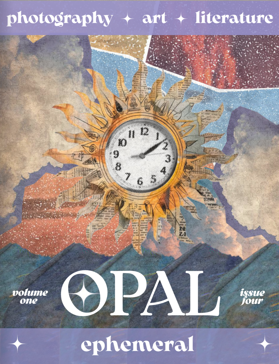cover of OPAL magazine issue 3 with butterflies