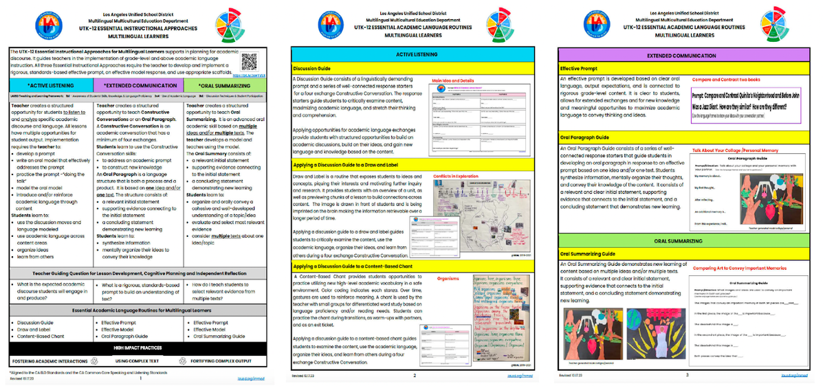 Multilingual Multicultural Academic Language – Instruction – Region South