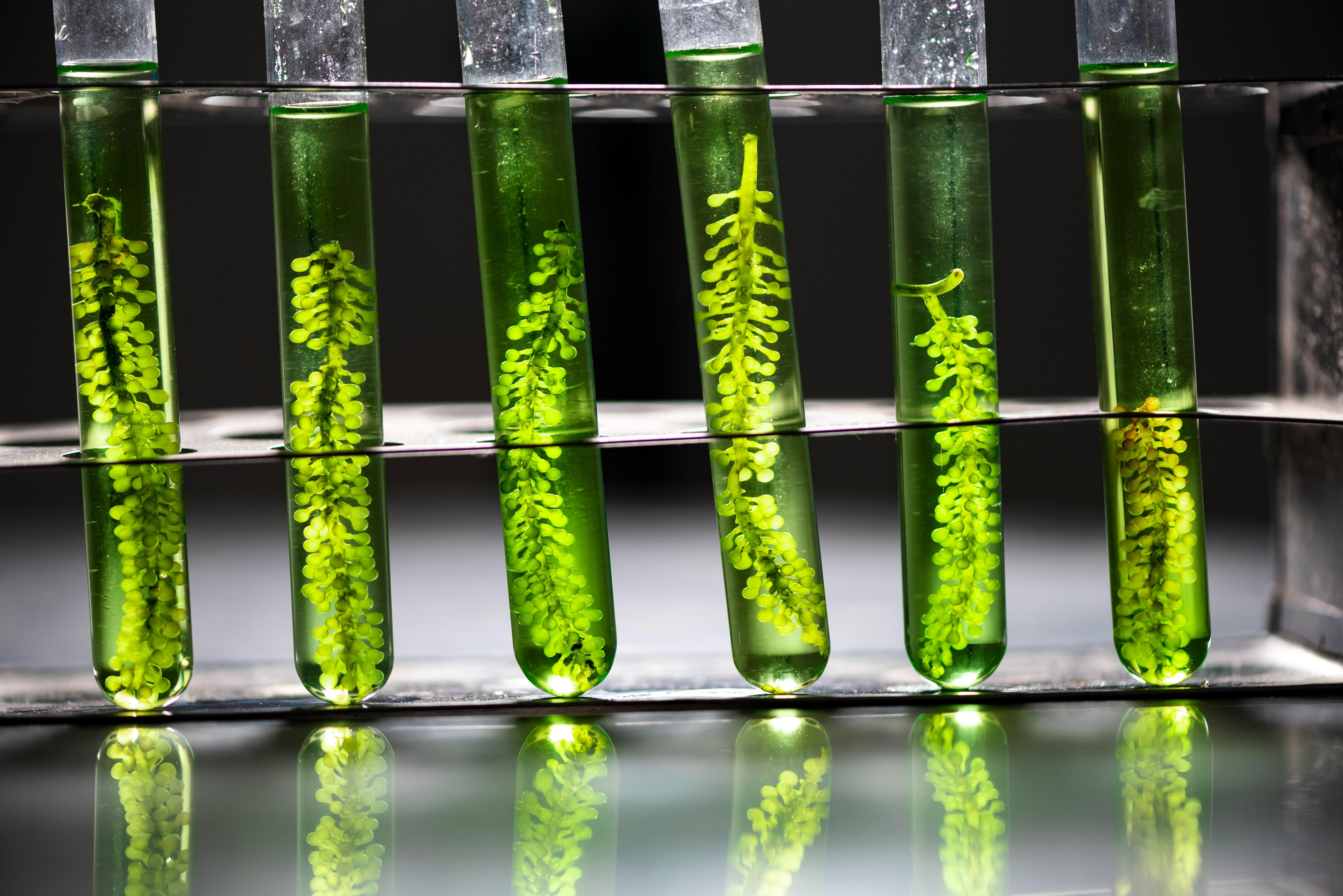 Science image