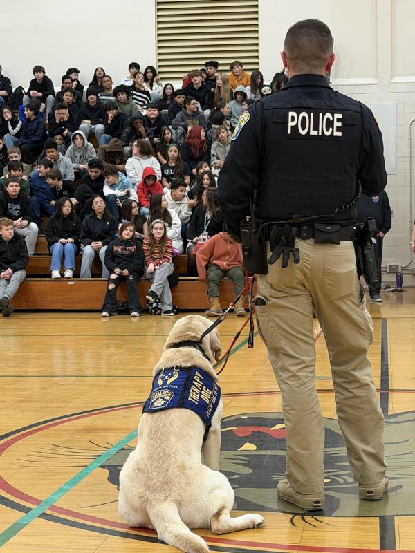 The backs of a therapy dog and police officer at a school assembly.