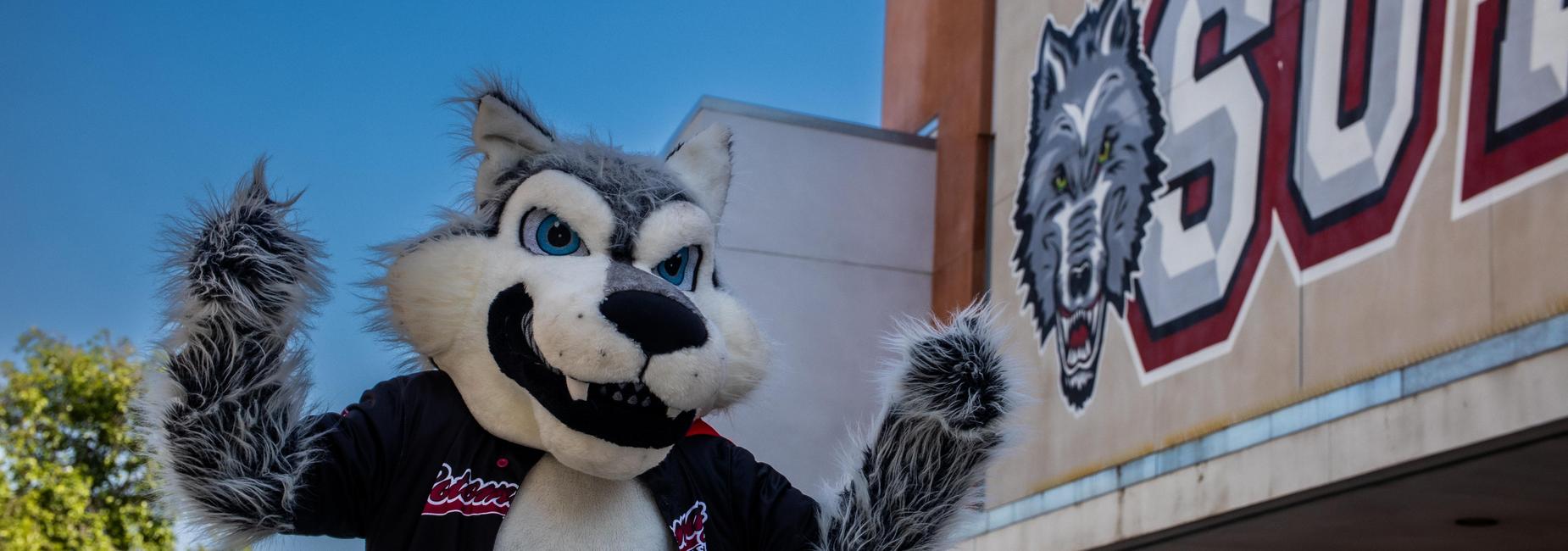 Wolfie cheering