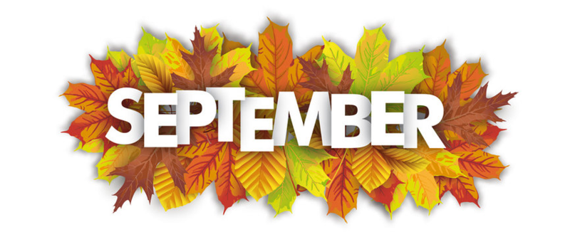 <bold>September Newsletter</bold>