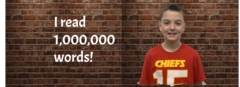 I read 1,000,000 words!