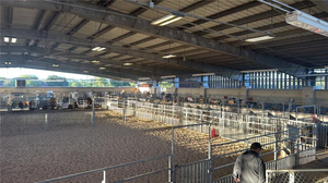 Barnyard Waste into Garden Gold