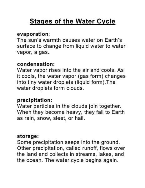 Stages of the Water Cycle Study Sheet.jpg