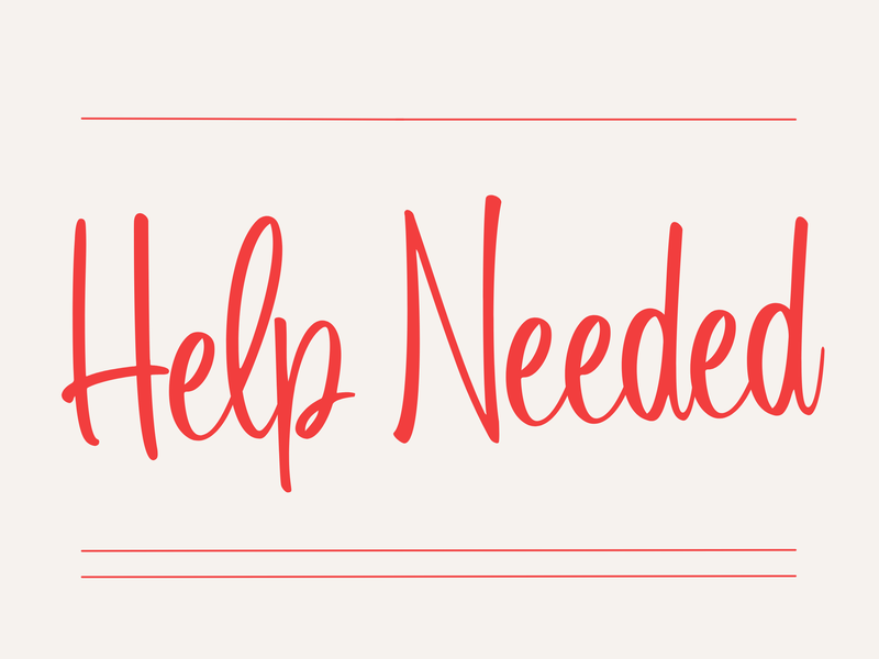 Sparky's Day Featured Photo