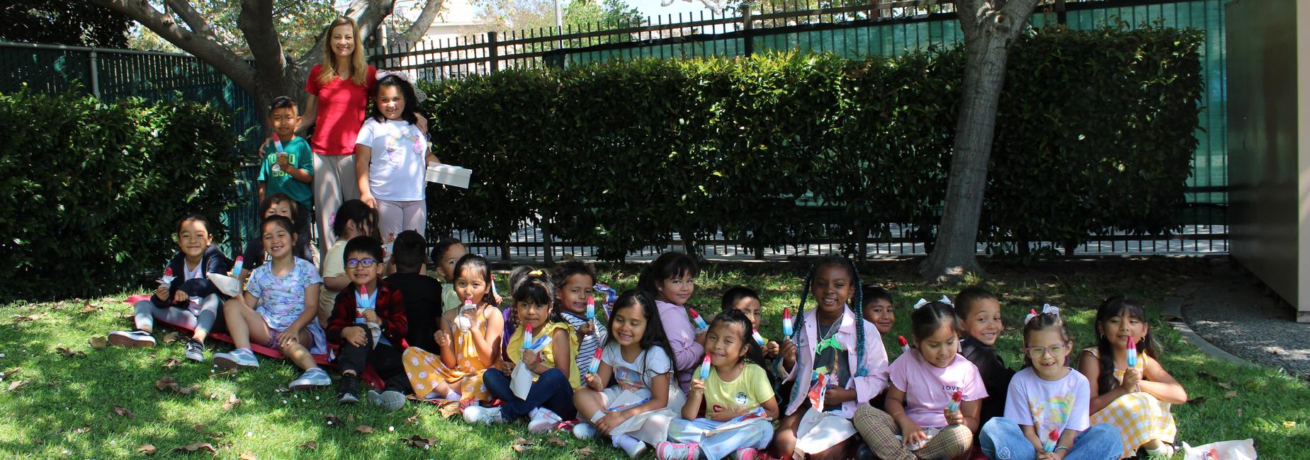 Mrs. Di Matteo&rsquo;s Popsicle Picnic