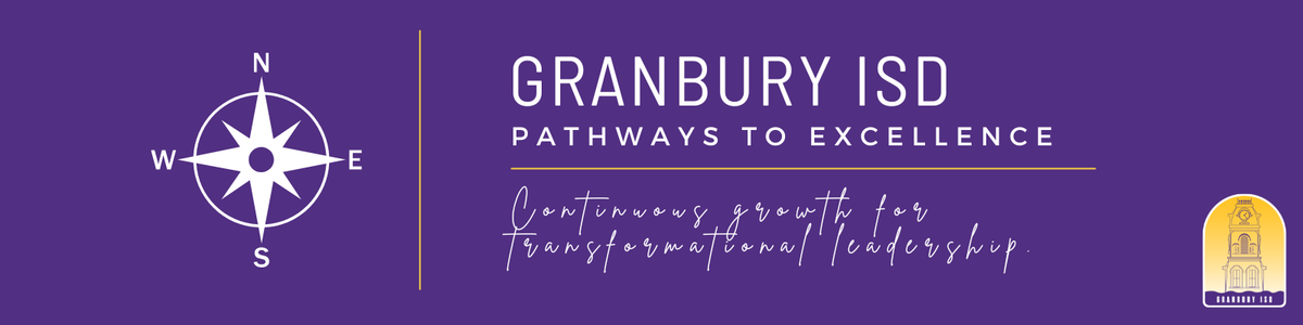 pathways to excellence logo