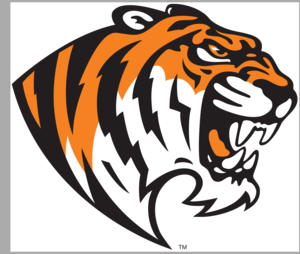 TISD Logo